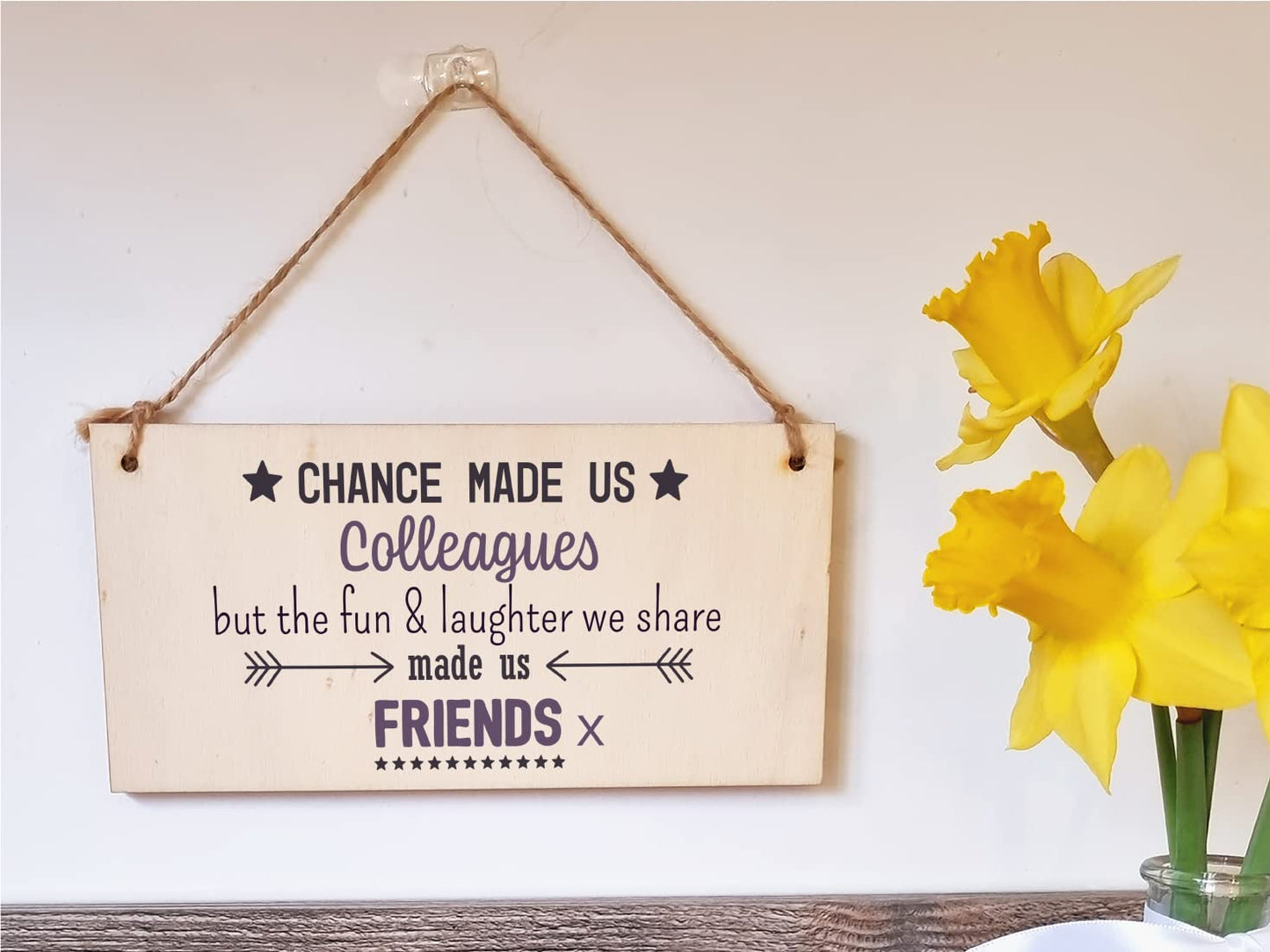 The Plum Penguin Handmade Wooden Hanging Wall Plaque Chance Made Us Colleagues Fun and Laughter Friends Workmate Leaving Gift