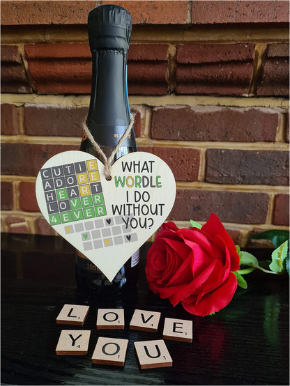 The Plum Penguin Handmade Wooden Hanging Heart Plaque Gift What Would I Do Without You Wordle Funny Cute Play on Words