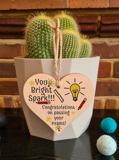 Handmade Wooden Hanging Heart Plaque Gift Well done on Passing Your Exams Congratulations Graduation Keepsake