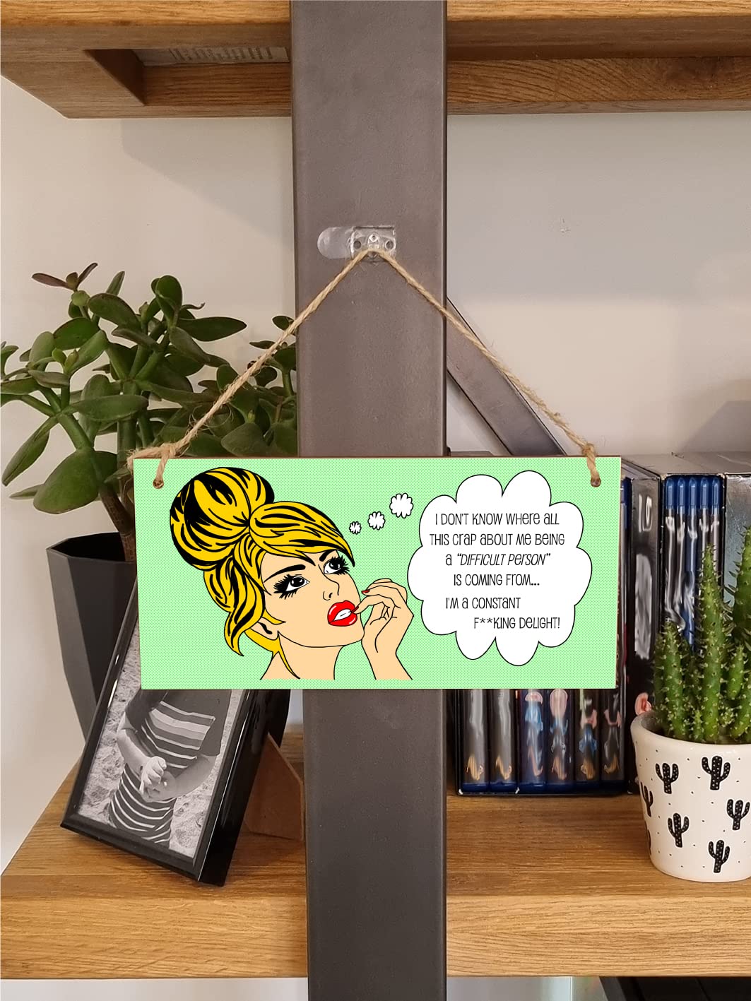 The Plum Penguin Handmade Wooden Hanging Wall Plaque I Don't Know Why Difficult Constant Delight Funny Rude Joke Novelty Sign