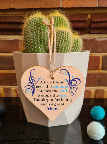 The Plum Penguin Embracing Bonds Unique Friendship Heart Plaque Collection