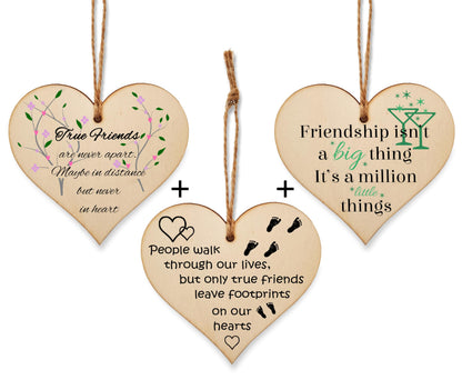The Plum Penguin Blossoming Bonds Unveiled in Heart Friendship Plaques