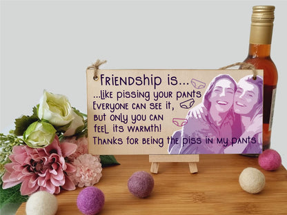 The Plum Penguin Handmade Wooden Hanging Wall Plaque Friendship is Like Pants Feel It's Warmth Funny Joke Rude Gift Sign