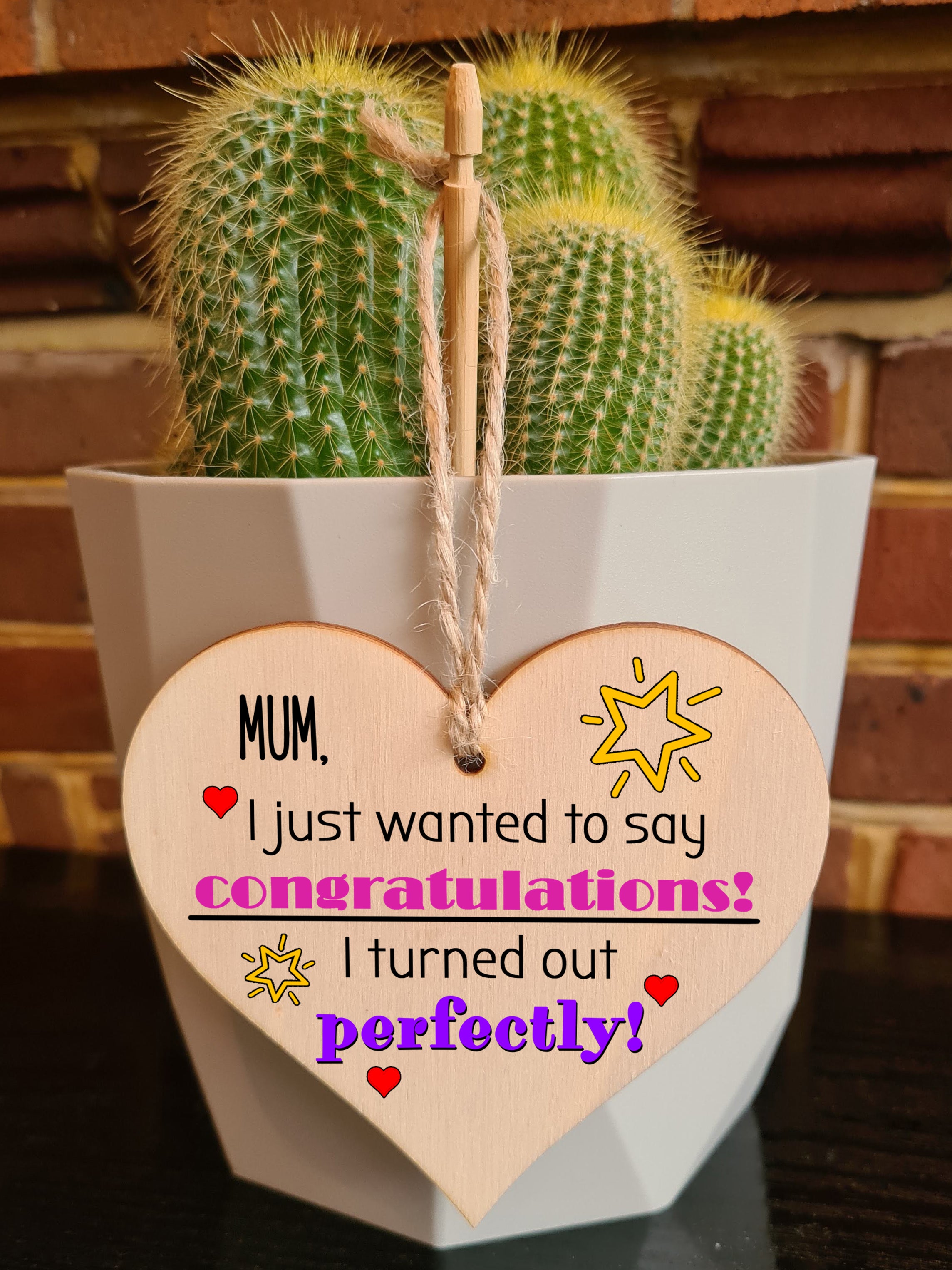 Handmade Wooden Hanging Heart Plaque Mother's Day Gift perfect for Mum novelty funny keepsake Congratulations I turned out perfect from daughter son children novelty card alternative